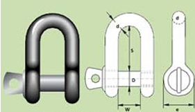 D-Shackle Screw Pin Type
