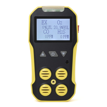 Bh-4A Multi Gas Detector