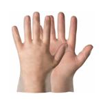 Glove Clip Pinch  Clasp