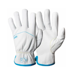 Glove Clip Pinch  Clasp