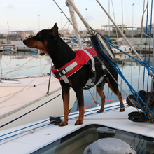 Delta Inflatable Lifejacket Belt-Pack, Auto 150N, SOLAS