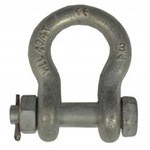 Bow Shackle