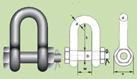 D-Shackle Nut Bolt Type Pin